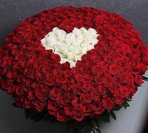 Paper Field Harbor workshop space where corporate flower arrangements are designed and prepared for business delivery